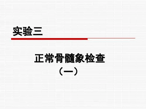 正常骨髓象检查