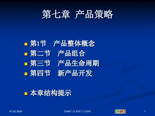 产品策略PPT教案