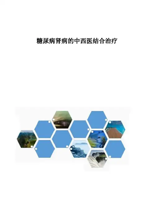 糖尿病肾病的中西医结合治疗