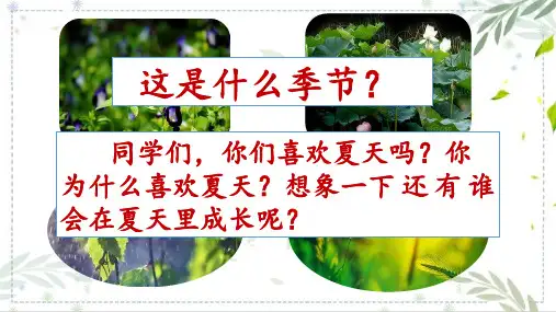部编版六年级语文上册《夏天里的成长》课件