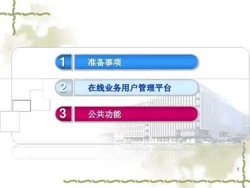 网上业务平台操作介绍ppt