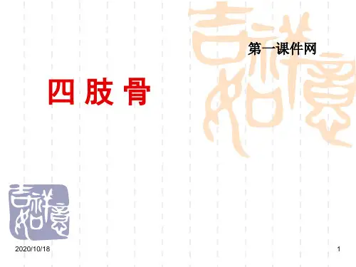 正常人体解剖学课件-四肢骨骼PPT优选课件