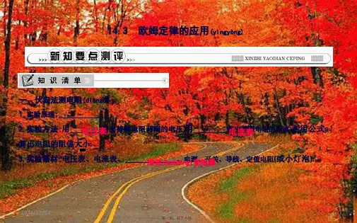 九年级物理上册 14.3 欧姆定律的应用课件 (2)