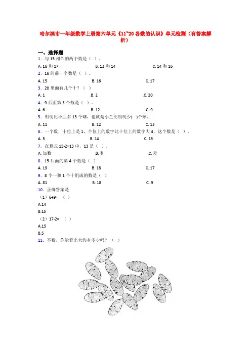 哈尔滨市一年级数学上册第六单元《11~20各数的认识》单元检测(有答案解析)