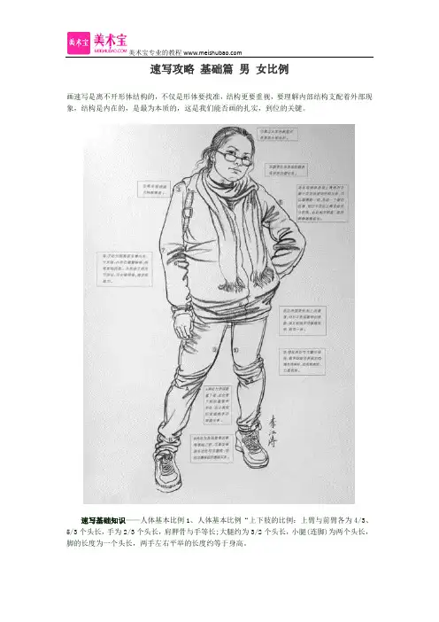 速写攻略 基础篇 男 女比例