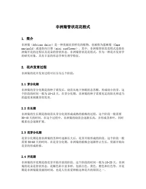 非洲菊管状花花程式