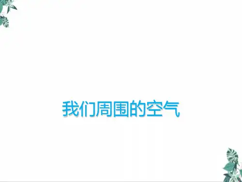 (新)新疆中考备考化学专题复习公开课PPT4