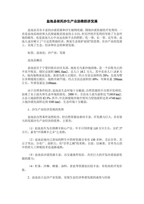 盐池县依托沙生产业助推经济发展