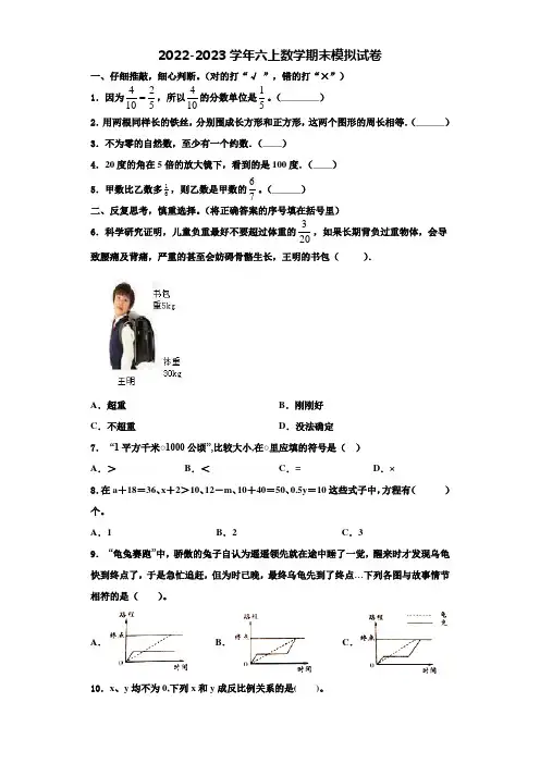 山东省淄博市高青燕园国际学校2022-2023学年数学六年级第一学期期末检测试题含解析