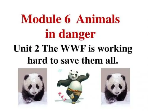 外研版英语 八年级上册教学课件：Module 6  Unit 2 The WWF is working hard to save them all.(共23张PPT)
