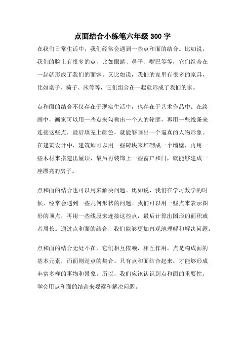 点面结合小练笔六年级300字