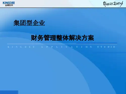 XXXX年金蝶集团财务解决方案(ppt 40) 