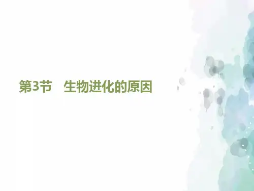 苏科版-生物-八年级下册-《生物进化的原因》教学课件