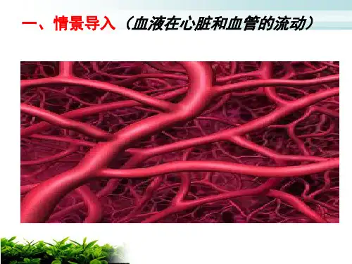 苏教版七年级下册生物 10.2人体内的血液循环---血管和心脏 课件   (共41张PPT)