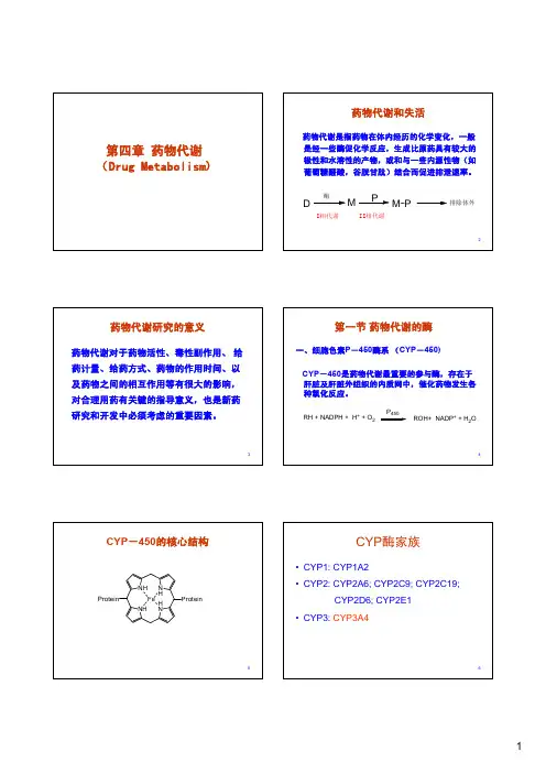 药物代谢(20130324)