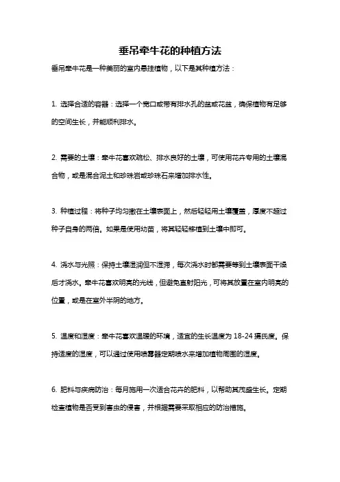 垂吊牵牛花的种植方法