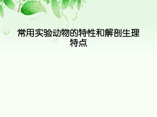 常用实验动物的特性和解剖生理特点