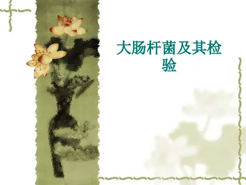 大肠杆菌及其检验