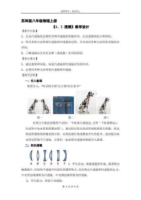 八年级物理苏科版上册 《4.2 透镜》教学设计 教案