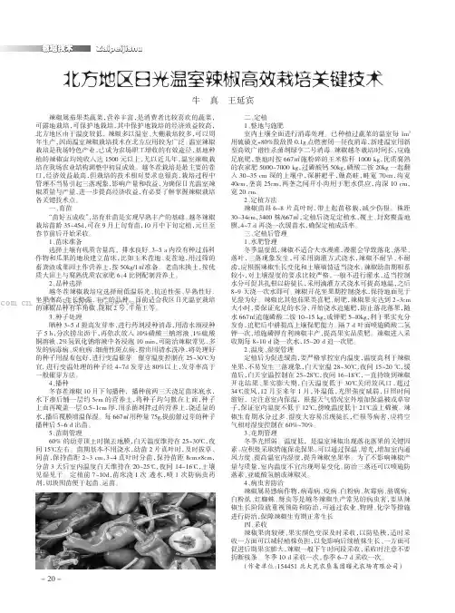 北方地区日光温室辣椒高效栽培关键技术