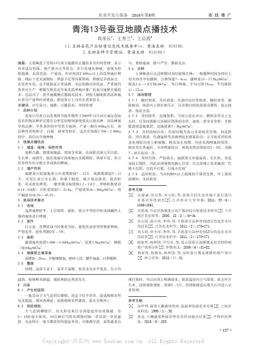 青海13号蚕豆地膜点播技术