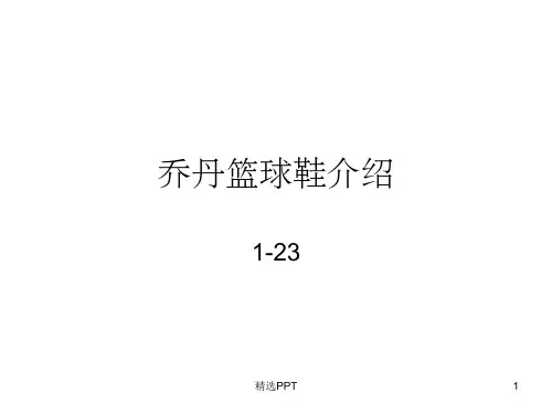 《乔丹篮球鞋介绍》PPT课件