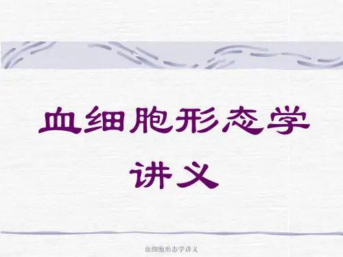 血细胞形态学讲义 ppt课件