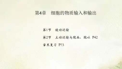 2021新版新教材人教版高中生物必修1分子与细胞第四章细胞的物质输入和输出 教学课件