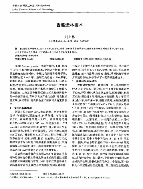香榧造林技术