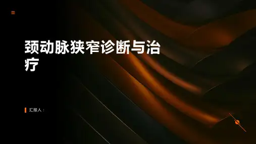 颈动脉狭窄诊断与治疗PPT