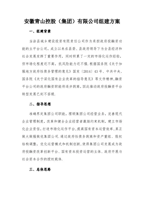 青山控股集团组建方案(定稿)