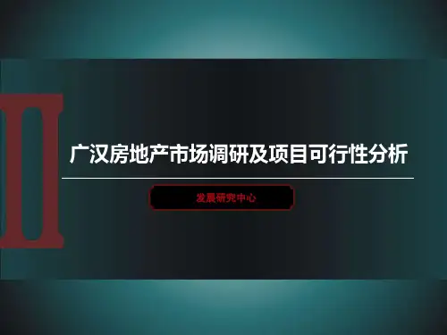 广汉市场研究报告