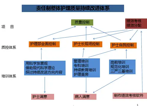 责任制整体护理PPT课件