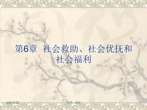 社会救助、社会优抚和社会福利PPT课件