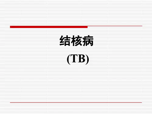病理学-肺结核 PPT精品课件