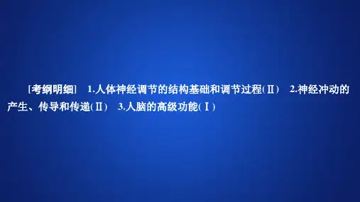高考生物一轮复习 第八单元 第26讲 通过神经系统的调节名师公开课省级获奖课件(必修3)