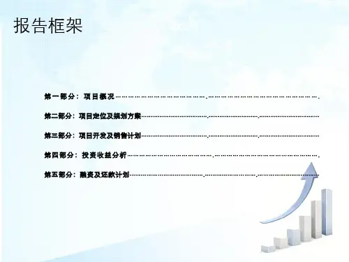 项目投资可行性报告报告完整版