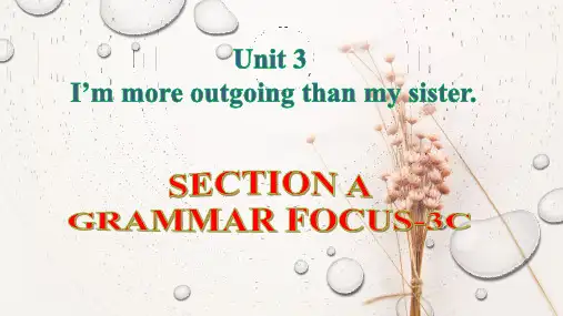 人教版英语八年级上册Unit 3 Section A Grammar Focus- 3c 课件