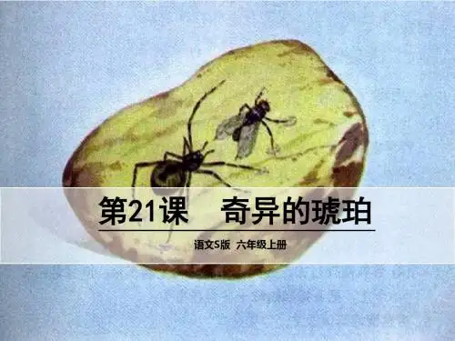 21 奇异的琥珀.ppt讲课