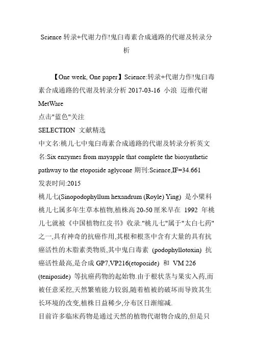 Science转录 代谢力作!鬼臼毒素合成通路的代谢及转录分析