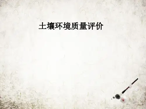 土壤环境质量评价