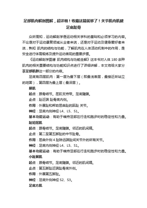 足部肌肉解剖图解，超详细！收藏这篇就够了！关节肌肉肌腱足底趾骨
