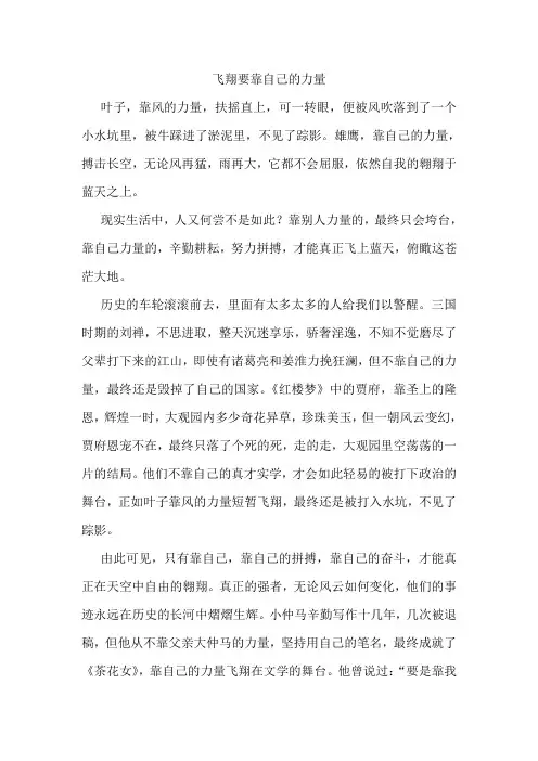 飞翔要靠自己的力量