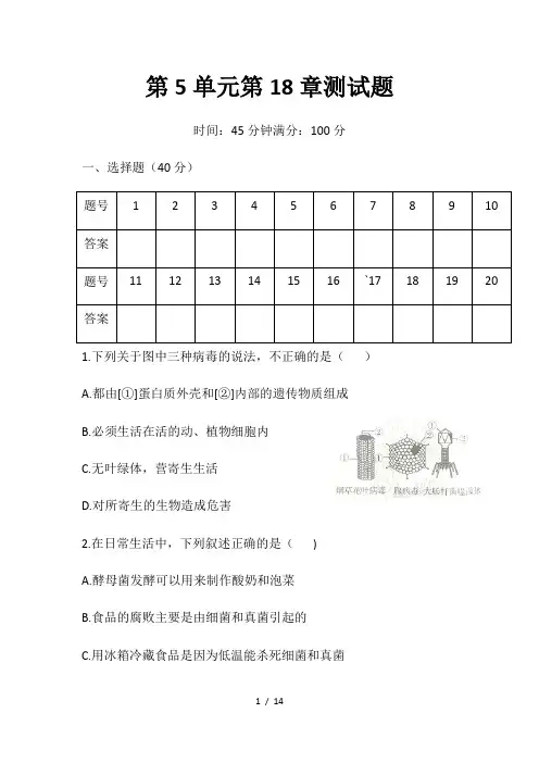 北师大版八年级上册生物第18章生物圈的微生物   重点难点过关测试卷(word版,含答案)