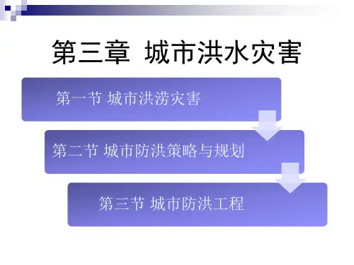城市防灾学洪水
