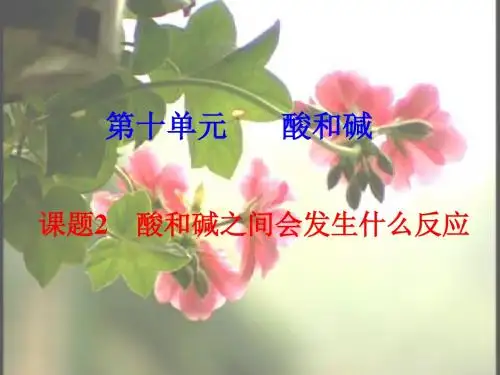 酸和碱之间会发生什么反应PPT课件13 人教版