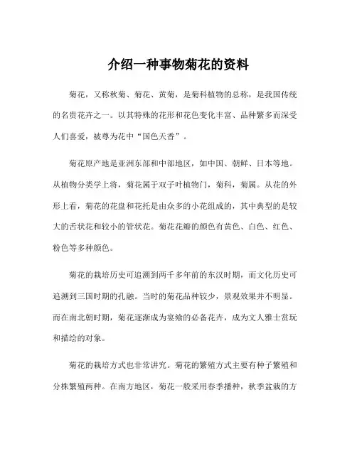 介绍一种事物菊花的资料
