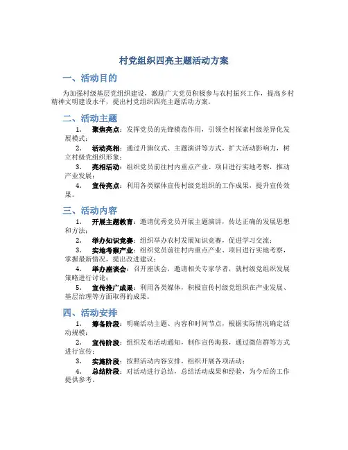 村党组织四亮主题活动方案