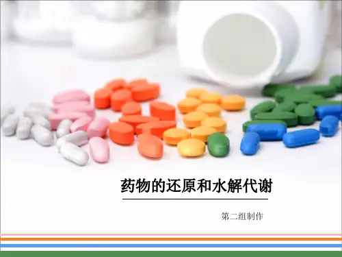 药物代谢中的还原酶和水解酶