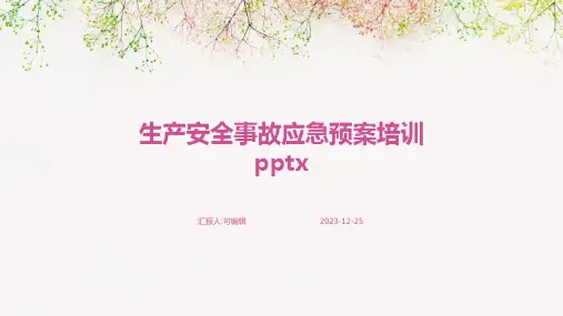 生产安全事故应急预案培训pptx